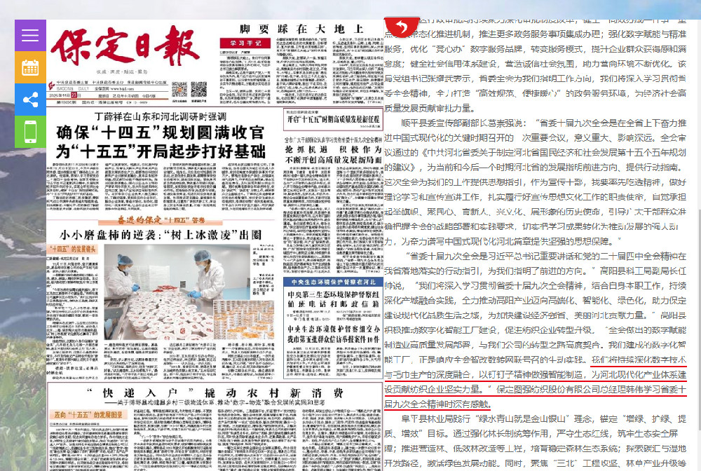 保定日报 拷贝.jpg